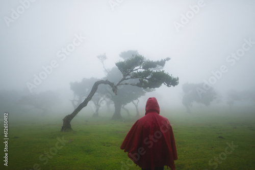Anonymous in foggy laurisilva Fanal forest photo