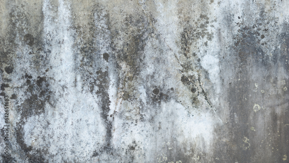 Obraz premium Old concrete wall texture picture
