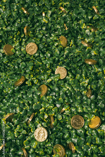 Coins on grass photo