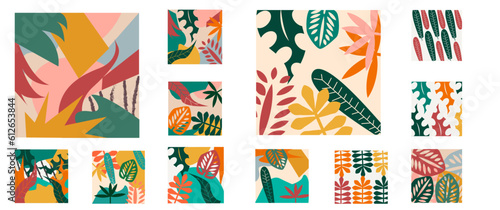 Tropical & Flower Pattern Background 2