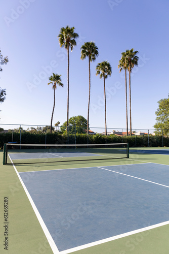 Wallpaper Mural Single Pickleball  court with nobody Palm tree  Torontodigital.ca
