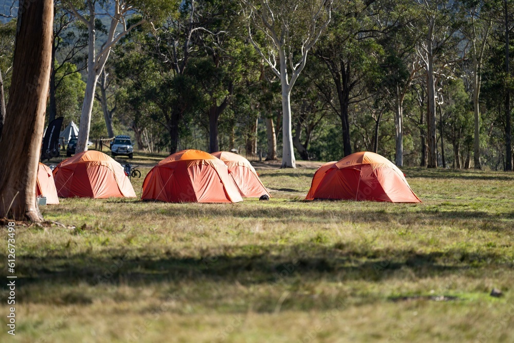 Camping in a tent in nature in a national park in the trees and bush