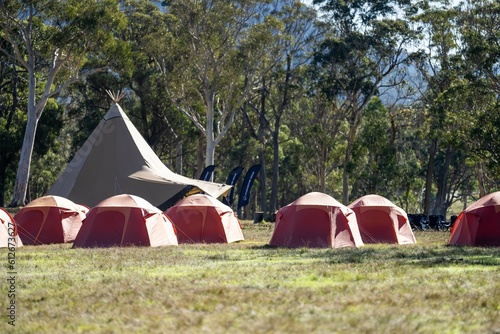 Camping in a tent in nature in a national park in the trees and bush