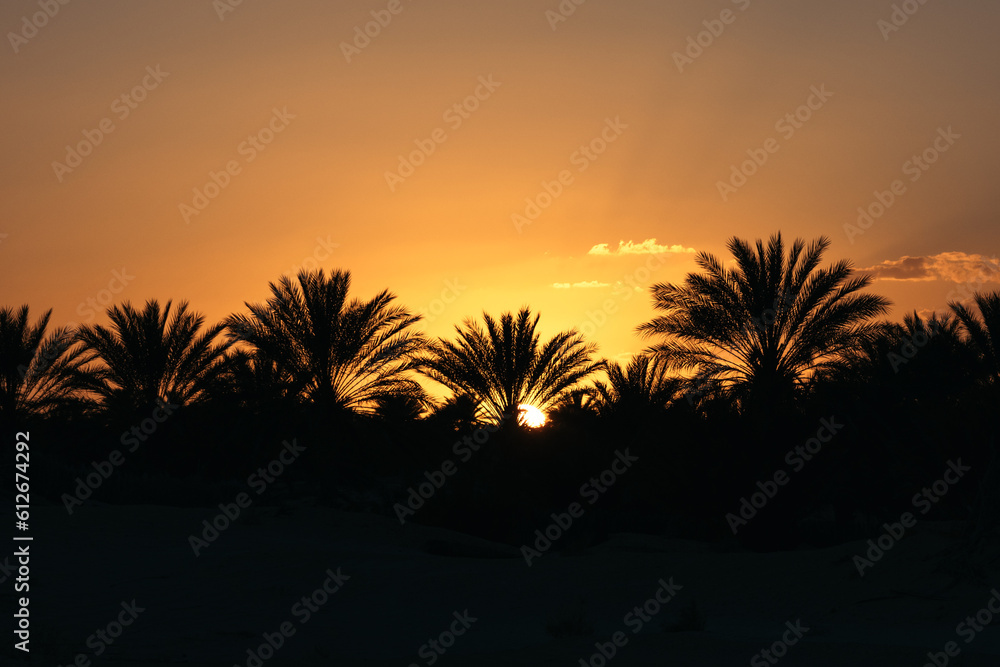 Sunset in an oasis in the desert Sunset in an oasis in the desert