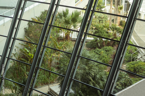 garden view through a glass photo