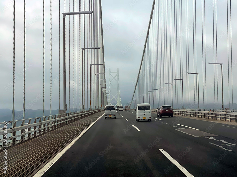 Fototapeta premium The Cable Mounted Bridges