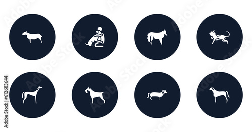 dog breeds fullbody filled icons set. flat filled icons sheet included bullterrier, hughing dog, shetland sheepdog, toyger cat, saluki, miniature schnauzer, dachshund, bullmastiff vector.