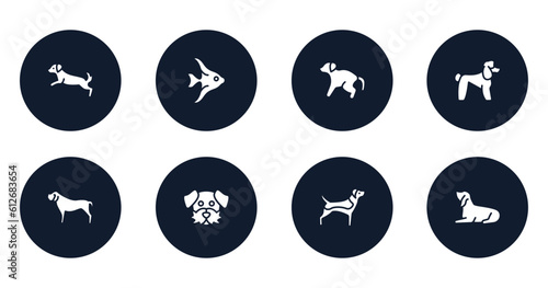 dog breeds fullbody filled icons set. flat filled icons sheet included dog scaping, angelfish, scold the dog, poodle, mastiff, moustache, beagle, bas houd vector.