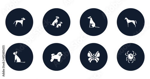 insects filled icons set. flat filled icons sheet included springer spaniel, dog and doggie, pointer dog, pharaoh hound, yorkshire terrier, bichon frise, leaf butterfly, spider black widow vector.