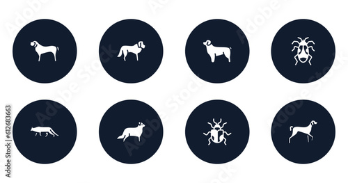 dog breeds fullbody filled icons set. flat filled icons sheet included english mastiff, st bernard, newfoundland, pyrrhocoridae, snowshoe cat, bernese mountain, chrysomela, kurzhaar vector.