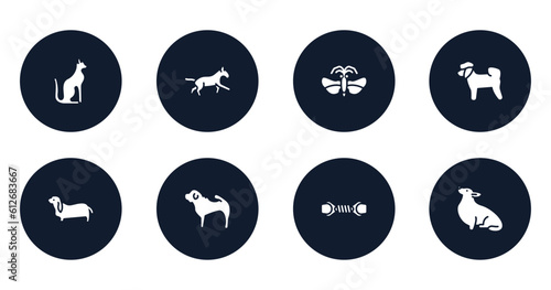 dog breeds fullbody filled icons set. flat filled icons sheet included egyptian cat, bulterrier, strepsiptera, bichon, bas hound, shar pei, pet toy, corgi vector.