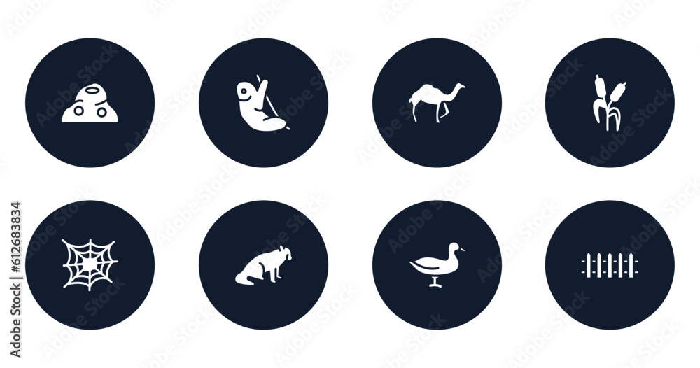 zoo filled icons set. flat filled icons sheet included anthill, sloth, dromedary, bulrush, cobweb, red panda, duck, fence vector. zoo filled icons set. flat filled icons sheet included anthill, sloth, dromedary, bulrush, cobweb, red panda, duck, fence vector.