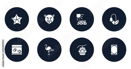 desert filled icons set. flat filled icons sheet included starfish, jaguar, crack, harebell, aquarium, flamingo, beehive, rug vector.