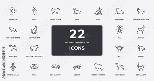 cat breed bodies outline icons set. thin line icons sheet included angelfish, chow chow, null, bernese mountain dog, boxer, null, greyhound, bengal cat vector.