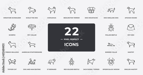 dog breeds fullbody outline icons set. thin line icons sheet included miniature schnauzer, chihuahua, dog moustache, afghan hound, pet dish, dog and man seating, spider black widow, english mastiff