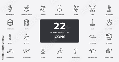 animals outline icons set. thin line icons sheet included wristwatch, cherry, reeds, lighthouse, paw print, no smoking, watering can, hermit crab vector.