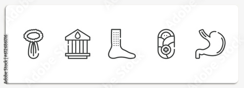 allergies outline icons set. thin line icons sheet included celery, blood bank, urticaria, pediatrics, stoh vector.