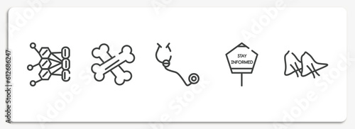 outline icons set. thin line icons sheet included allergy, bone, stethoscope, stay informed, smallpox vector.