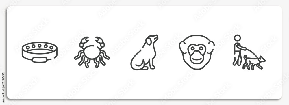 Fototapeta premium dog and training outline icons set. thin line icons sheet included cat collar, big crab, dog seating, chimpanzee head, dog walker vector.