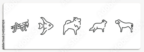 dog breeds fullbody outline icons set. thin line icons sheet included locust, angelfish, pomeranian, bernese mountain, mastiff vector.