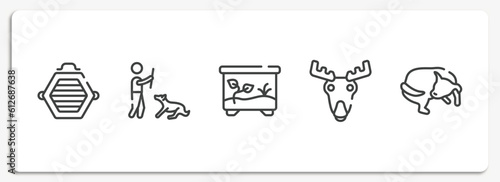 dog and training outline icons set. thin line icons sheet included cat box, man dog and stick, terraraium, moose head, dog chasing tail vector.