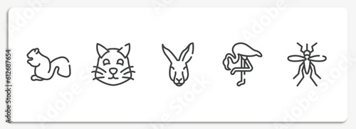 fauna outline icons set. thin line icons sheet included sitting squirrell, pet cat, kangaroo head, flamingo with leg up, big mosquito vector.