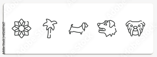 woof woof outline icons set. thin line icons sheet included angular flower, plain palm tree, dog with long ears, border collie dog head, bulldog head vector.