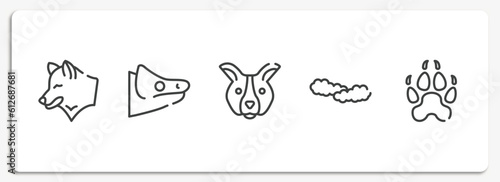free animals outline icons set. thin line icons sheet included wolf head, chameleon head, dog face, cloudy sky, canine pawprint vector.