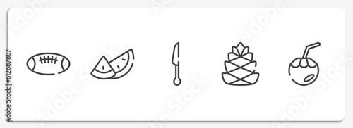 tropical outline icons set. thin line icons sheet included rugby ball, watermelon, cutlery, pine cone, coconut water vector.