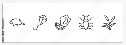 nature outline icons set. thin line icons sheet included porcupine, kite, mussel, antlion, reeds vector.
