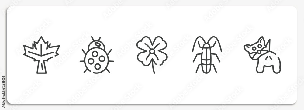 Fototapeta premium insects outline icons set. thin line icons sheet included maple leaf, ladybug, clover, cockroach, null vector.