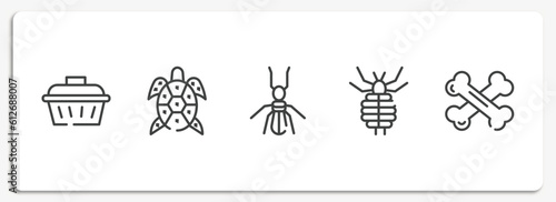 pet grooming outline icons set. thin line icons sheet included pet cage, turtle, termite, louse, bones vector.