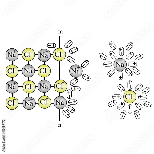 2D illustration of the dissolution scheme of sodium chloride in water