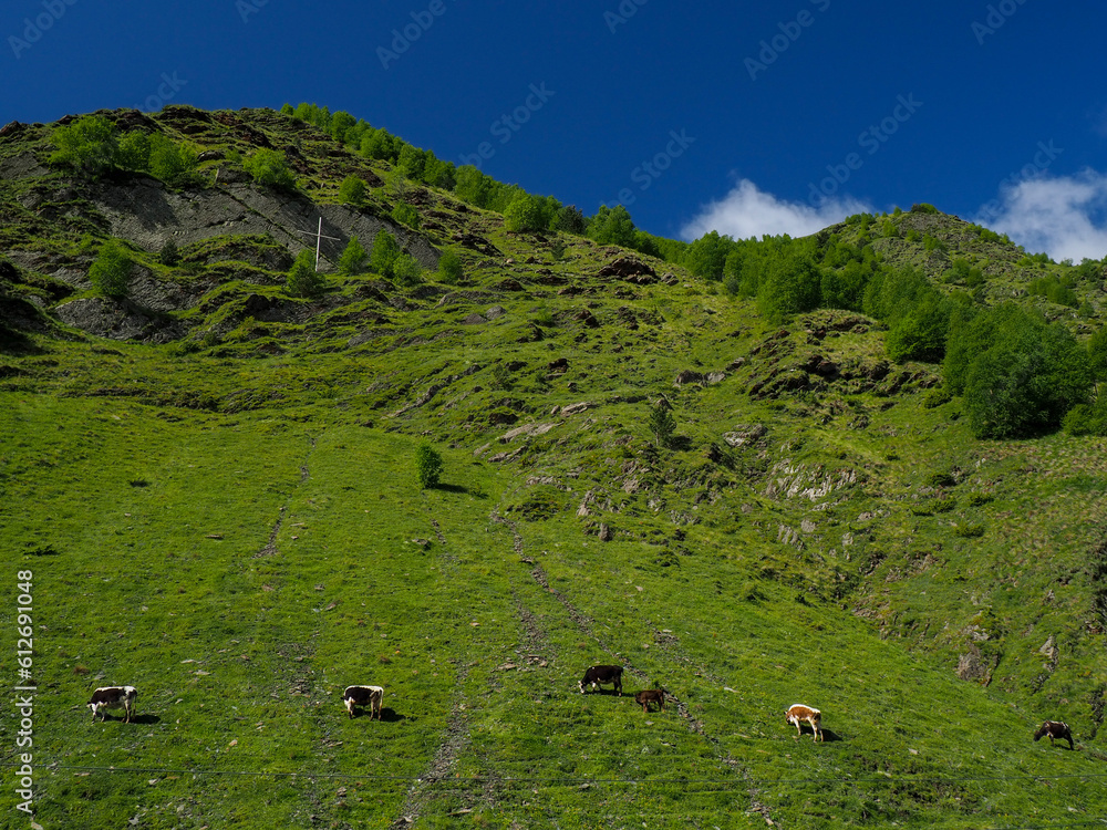 Mesmerizing Kazbegi mountains in Georgia, with majestic peaks and serene landscapes, a paradise for nature lovers.