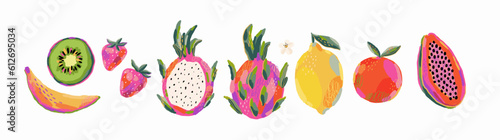 Hand drawn summer fruit in modern artist painting style. Vector illustration. 