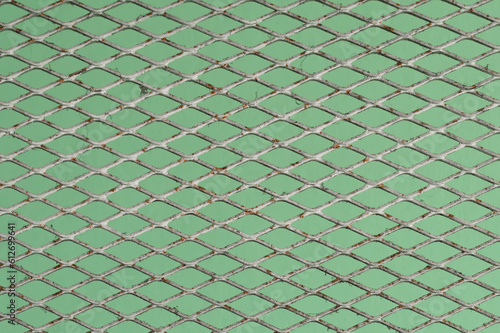 matal fence on green wall