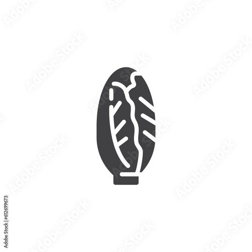 Endive vegetable vector icon