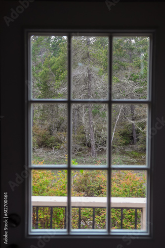 view through a window in the forest