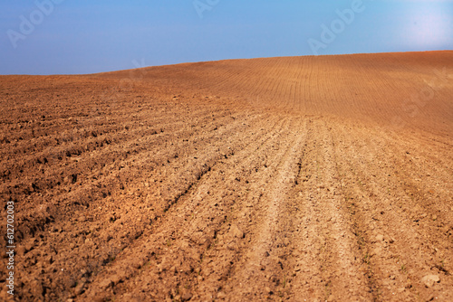Rural landscape. Row plowed field with cereals sown or prepared field for planting against blue sky. Agricultural land.