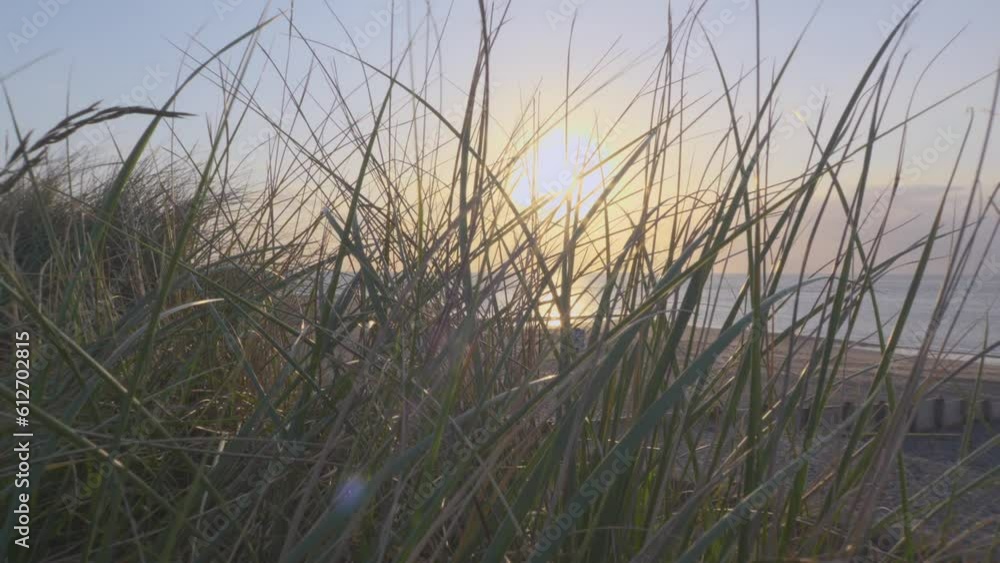 Beach grass blowing in wind in slow motion during sunset at Fleetwood, Lancashire, UK Beach grass blowing in wind in slow motion during sunset at Fleetwood, Lancashire, UK