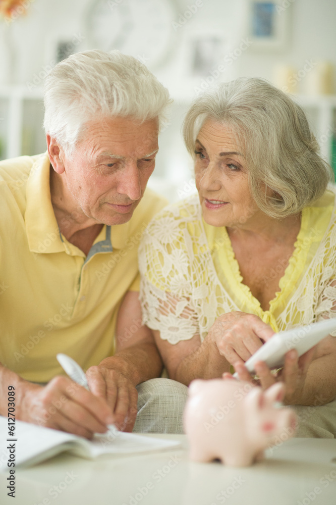 portrait of happy senior couple with piggy bank portrait of happy senior couple with piggy bank