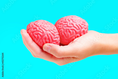 Hand Holds Two Soft Human Brain Models on Blue