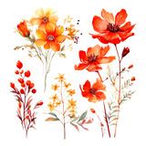 set of floral watercolor red orange, flower watercolor, leaf watercolor