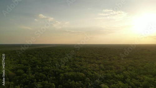 Panorámico con amanecer sobre selva en Quintana Roo México
