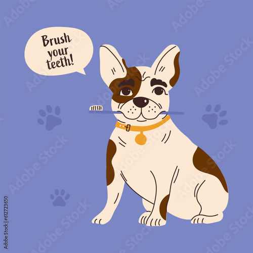 French beetle with a toothbrush in his mouth. Gum disease prevention. Dog dental care concept. Vector illustration © Анна Орлова