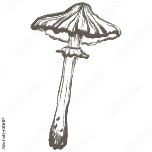 Doodle mushroom illustration.dible mushroom in silhouette. Minimal style. Perfect for cards, party invitations, posters, nursery, stickers, clothing. Black abstract icon.
