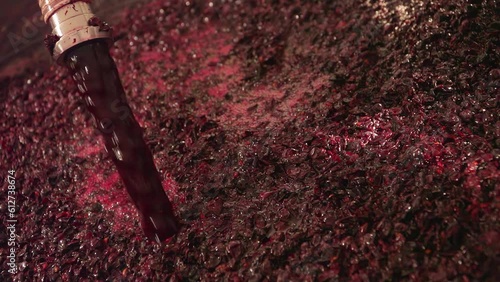 Winemaking. Wine production. Injection of grape juice in fermentation tanks.