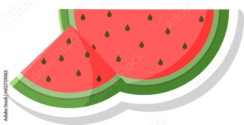 Watermelon Sticker Illustration Vector