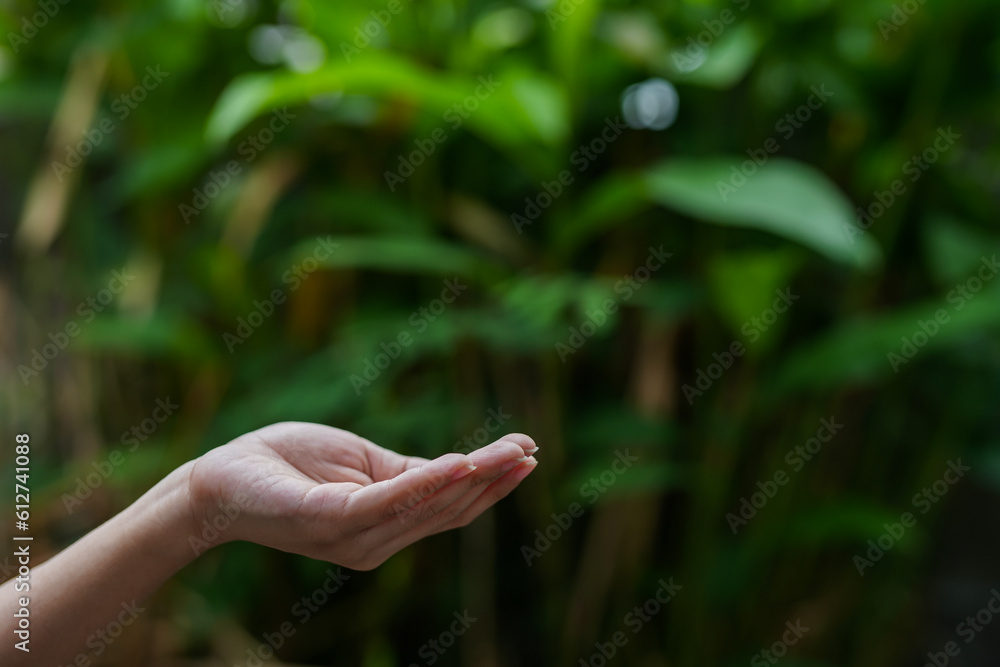 Technology, Hands holding globe of tropical nature summer background, Technology, Hands holding globe of tropical nature summer background,