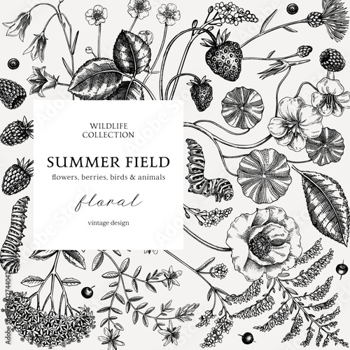 Sketched summer background. Floral frame design in vinatge style. Wildflowers botanical illustration. Hand-drawn field of flowers and insects for wedding invitation, decoration.